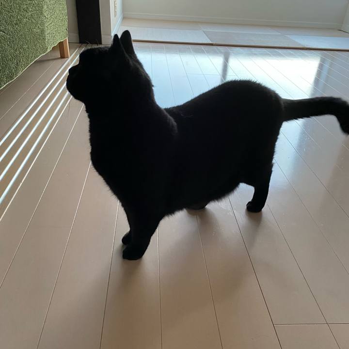 C9f917b9 9c8a 44b5 8096 862e381290f3 1684921899722