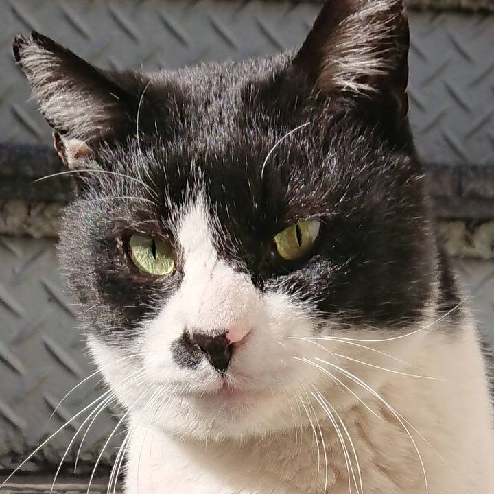 C9f98cb0 cd1f 4bf8 ba75 c32de9931c85 1547865910724