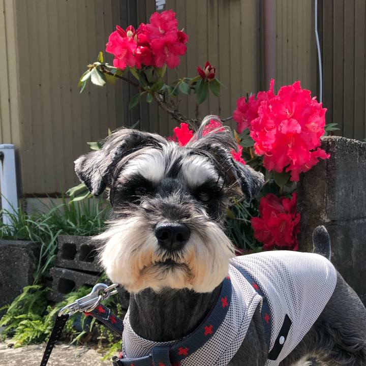 C9f99ce8 1374 45df be3b 6fe2006a5d83 1651594008770