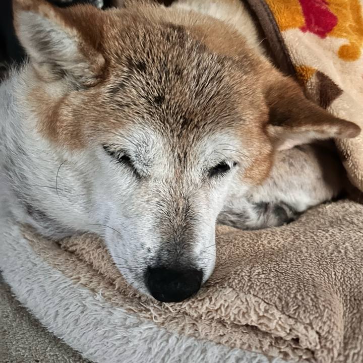 C9f9fc89 2b16 4002 86ee 462f575c01d0 1761375386279