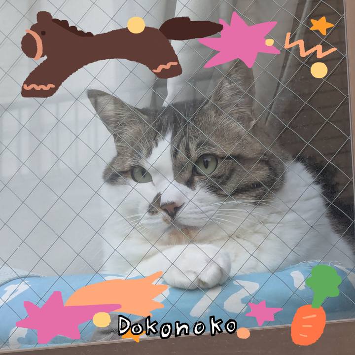 C9fa074f b8b1 4b87 b891 ce240f37a21b 1771886081033