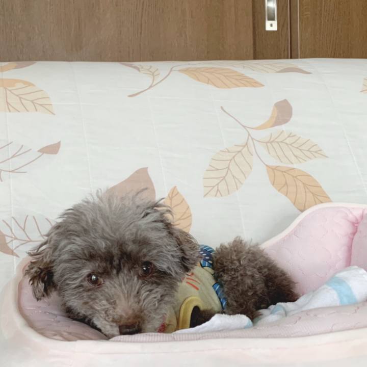 C9fa12e1 26de 4628 8bce 9e3ad9b62610 1653258583955