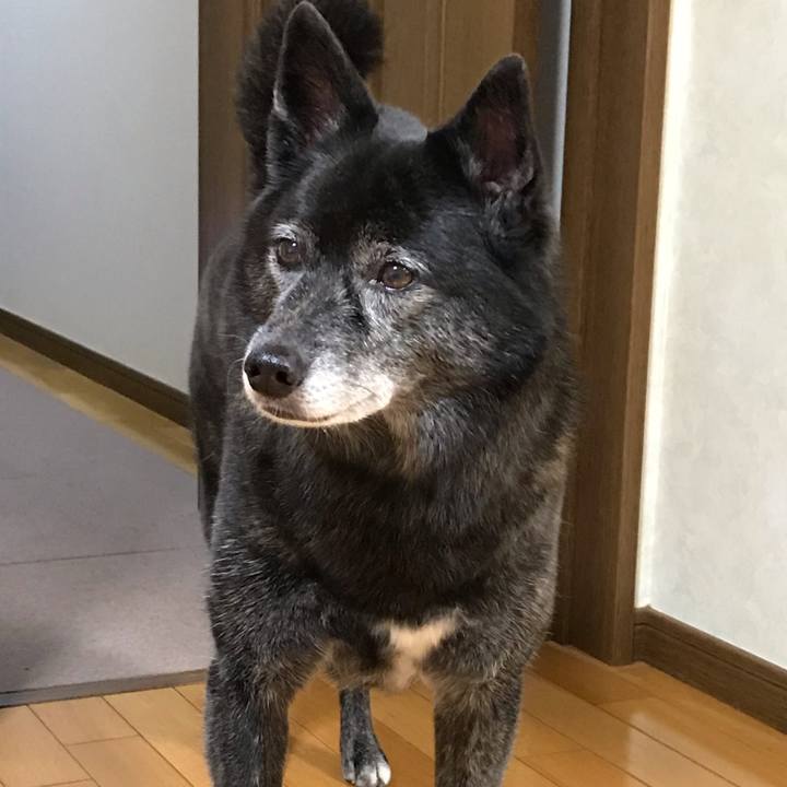 C9fa5a78 d4af 4a09 a11a 1315a7842fbb 1539126766213