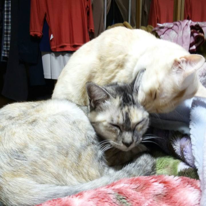 C9fa849e d46a 4978 ad2d 691af390e7d7 1509792766290