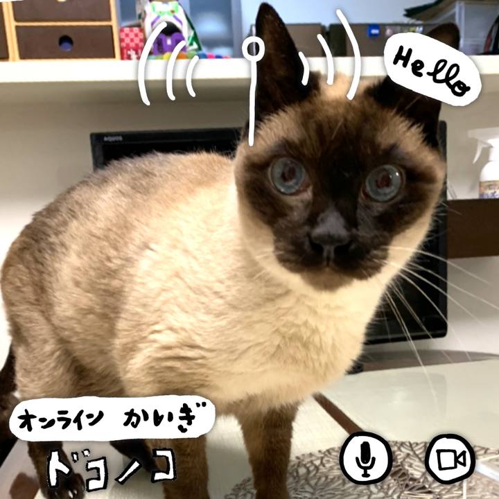 C9fa8d22 f69e 423c 91df f8d0f089cb7e 1590698396799