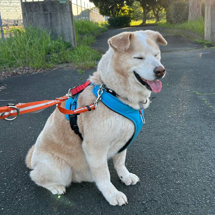 C9fae971 669d 406b 9f0a ff276093b979 1685853123648