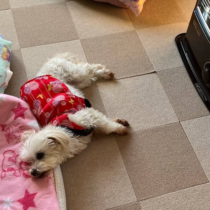 C9faf1ab b1be 412c a271 f5591b8e1b33 1734765064838