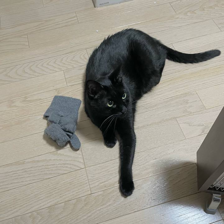 C9fb11ec 29be 4775 8b0f 95c5f23bacf7 1703508001601