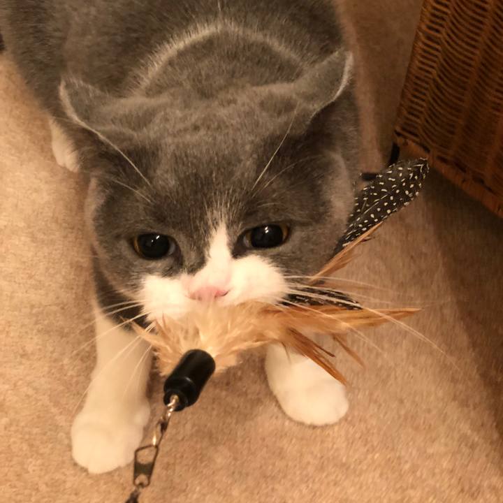 C9fb2a5c 3a77 4330 9da5 bd718164676b 1539228151540