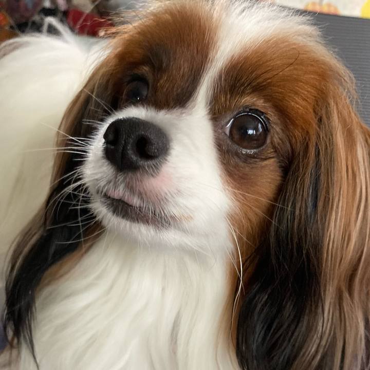 C9fba591 93a8 4d57 8386 fba07e777971 1663991371418