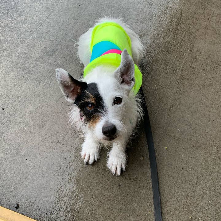 C9fbc2a4 f8b5 4dc1 ba93 bfbde90e12e3 1653621631019