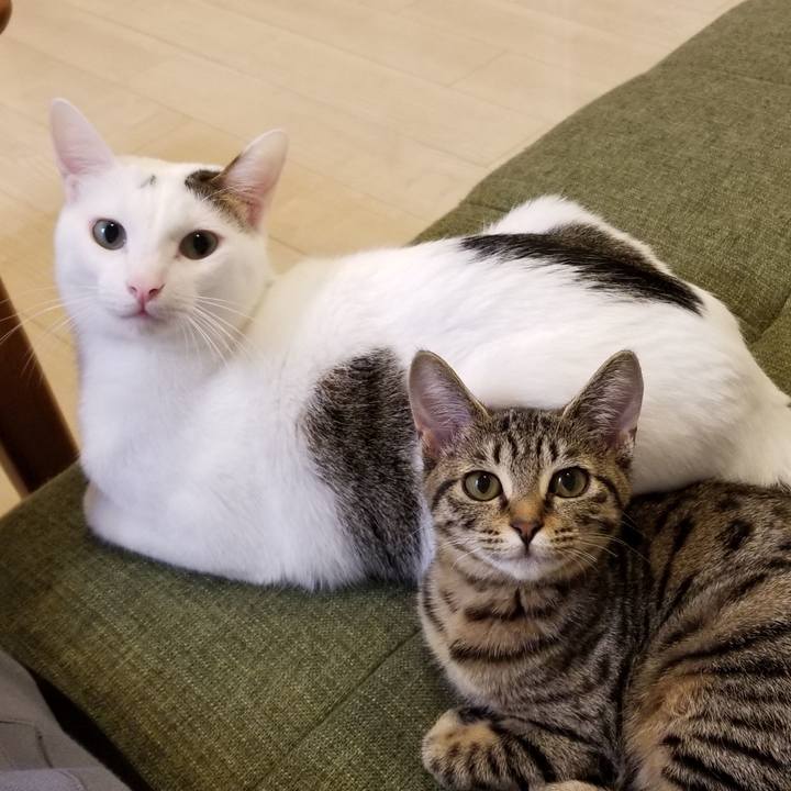 C9fbc6be 9815 471a 99df c1015c453621 1542800753111