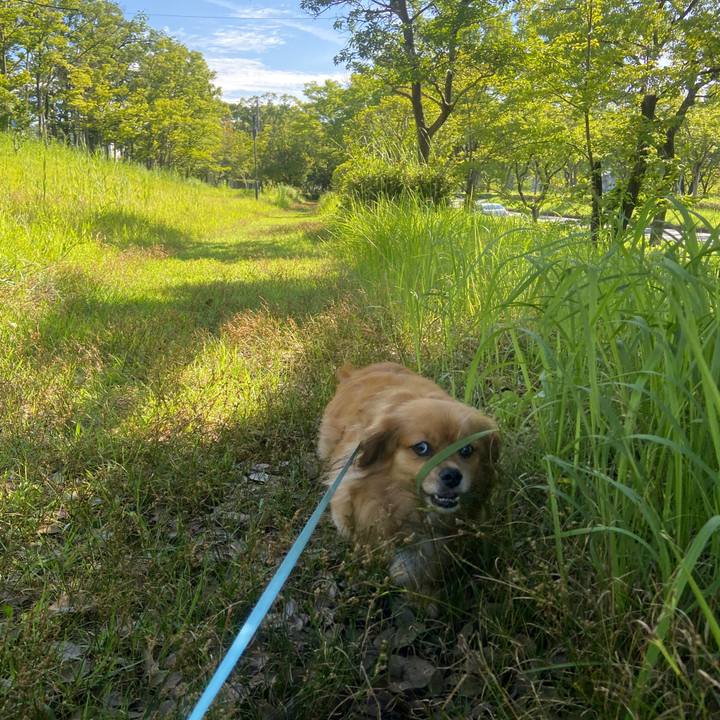 C9fbd343 48d4 4121 b04e bb916f1580e9 1658622715164