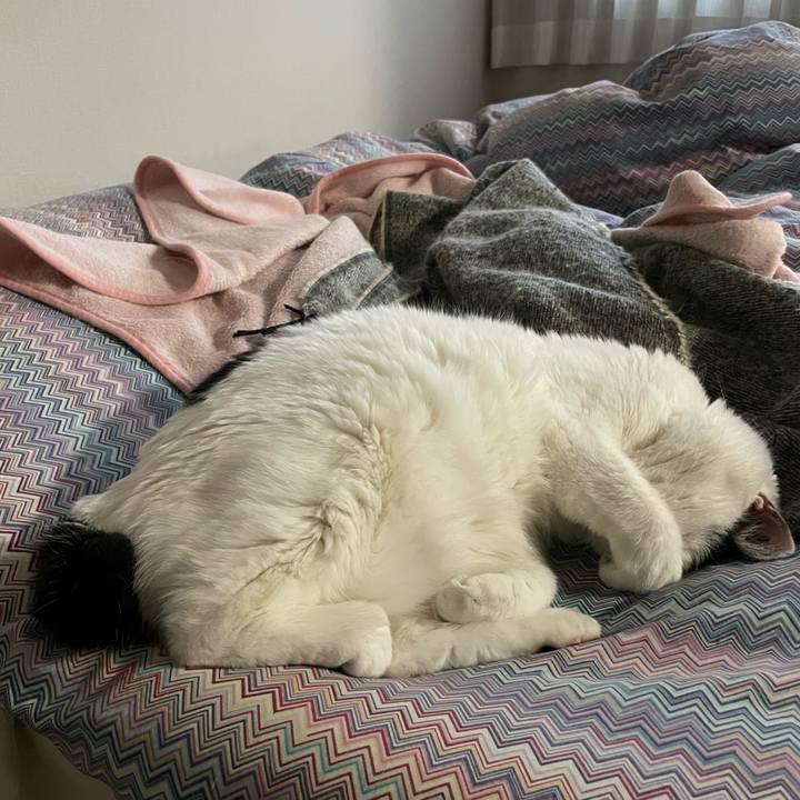 C9fbed69 15f3 478f 8061 8826f0622fa7 1673825836975