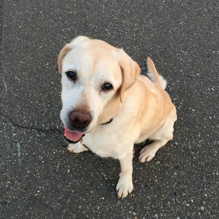 C9fbf2f1 2052 42dd a6f9 d83a9b590fab 1534589802178