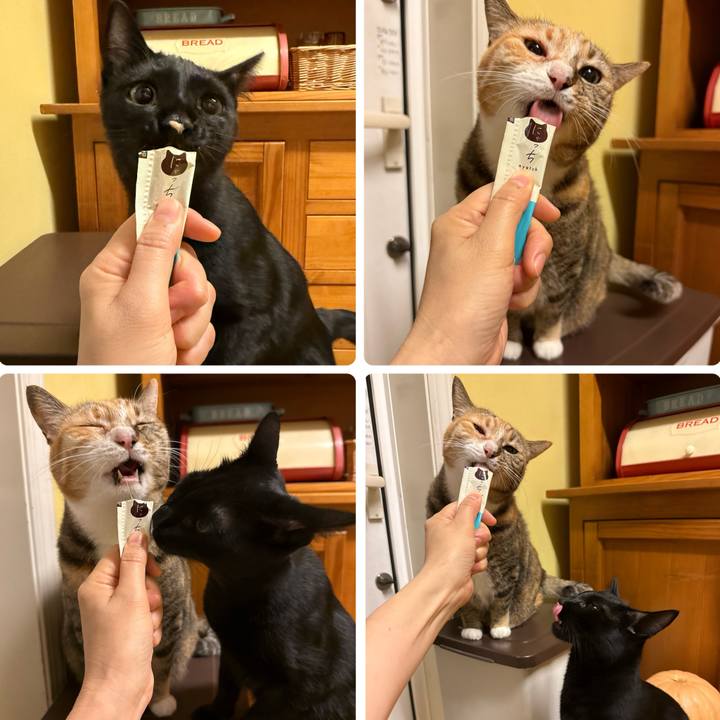 C9fbfc41 84f8 4ab7 8148 681a3f314a63 1763029581700