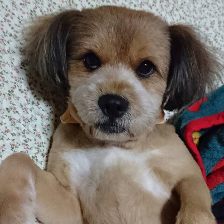 C9fc2de6 b59e 4ad7 bb29 bb479cfda5e8 1532526272392