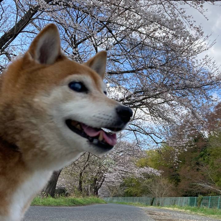 C9fc5b25 2b95 4748 9391 fd364c3c9f6d 1679467308350