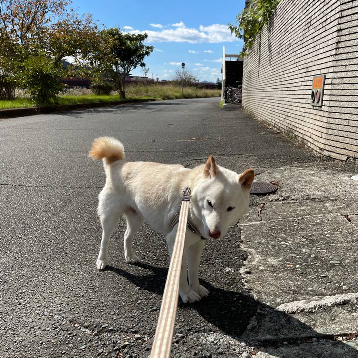 C9fca29e f371 4bcf 833f ee71e90fb59d 1634963267691