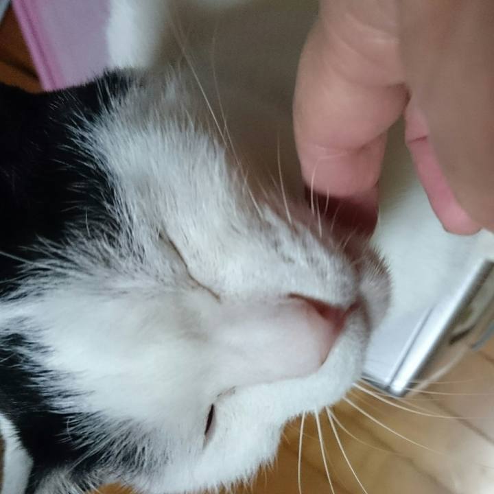 C9fccbce 25af 42e9 9864 eff03221ba47 1512473180909