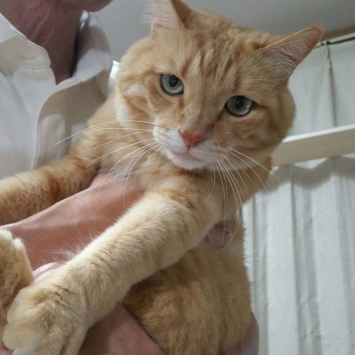 C9fd0158 974d 4199 8133 7575fed80f6a 1565658173510