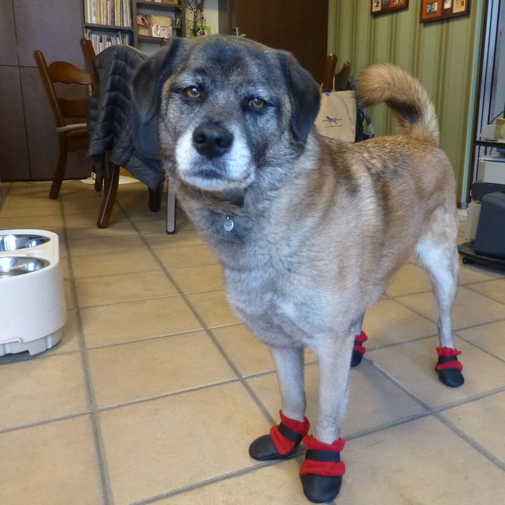 C9fd1562 e7a3 40f3 a1a9 d3bcc92d1bb7 1579740193509