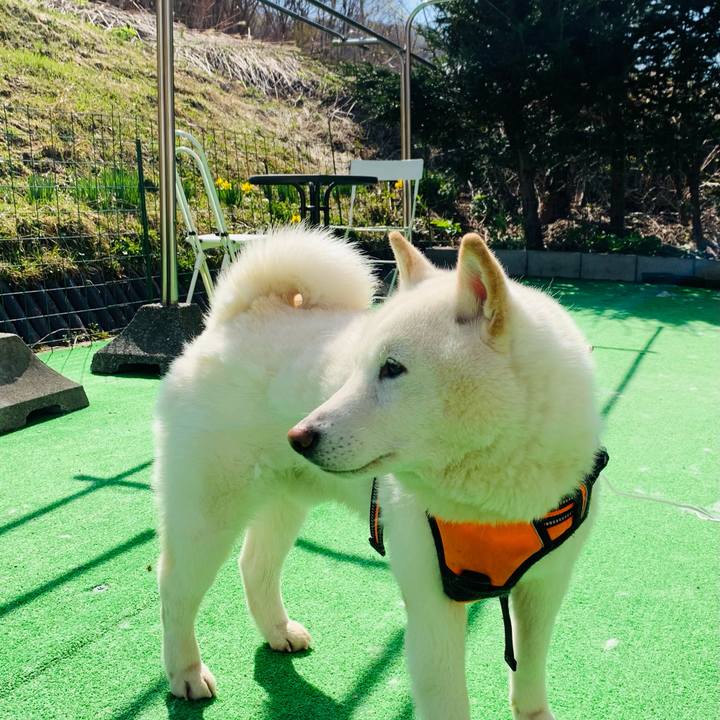 C9fd2187 0154 41f9 b61b cd7c7753d941 1619560269344