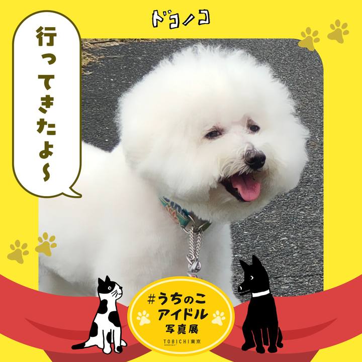 C9fd7265 6e9e 4ba4 91a6 7ba69808f96f 1761142008325