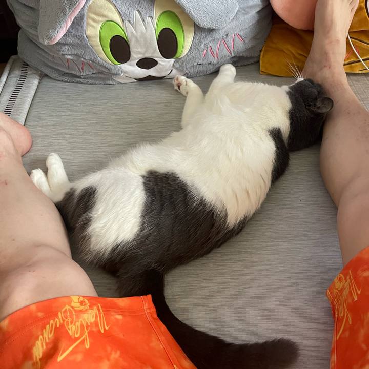 C9fd758b 5c04 4e33 98db 7d7e5726cd3a 1752210775255