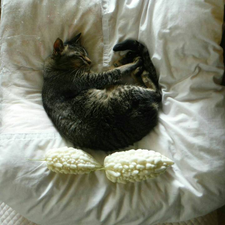 C9fdc5d2 f3d3 487b 878b 77effc5824c6 1563521996996