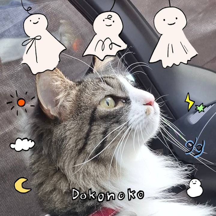 C9fdd6a0 ca87 4613 95ca 5de7d553116a 1749446270642