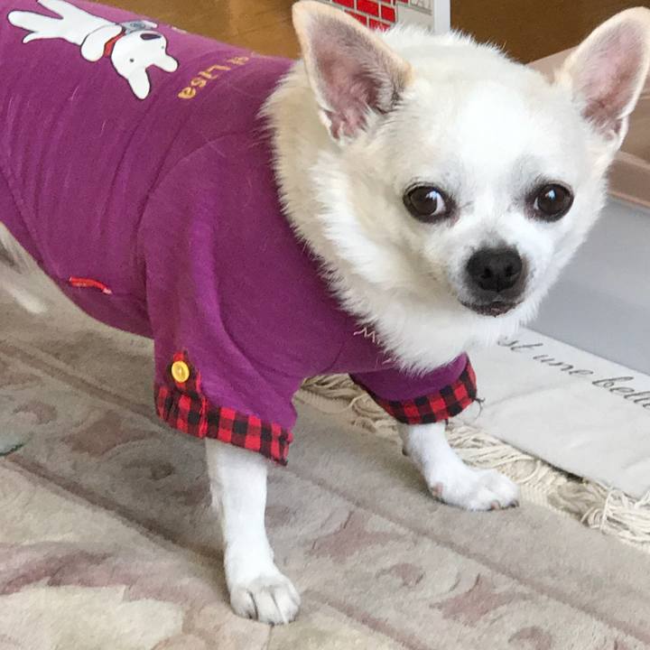 C9fde0b6 9f8c 4324 b1c5 c98050f0acc7 1574078913301