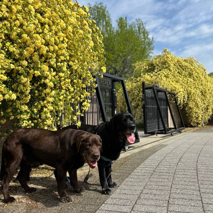 C9fe1528 da42 4972 9ab2 ac2b41740322 1776516223454