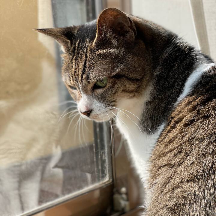 C9fe286a eb67 4c2b 83a2 bef9e7bcfff3 1646792079095