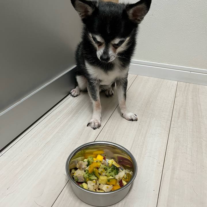 C9fe3270 1a54 401e a373 f7eae157ba92 1692833675188