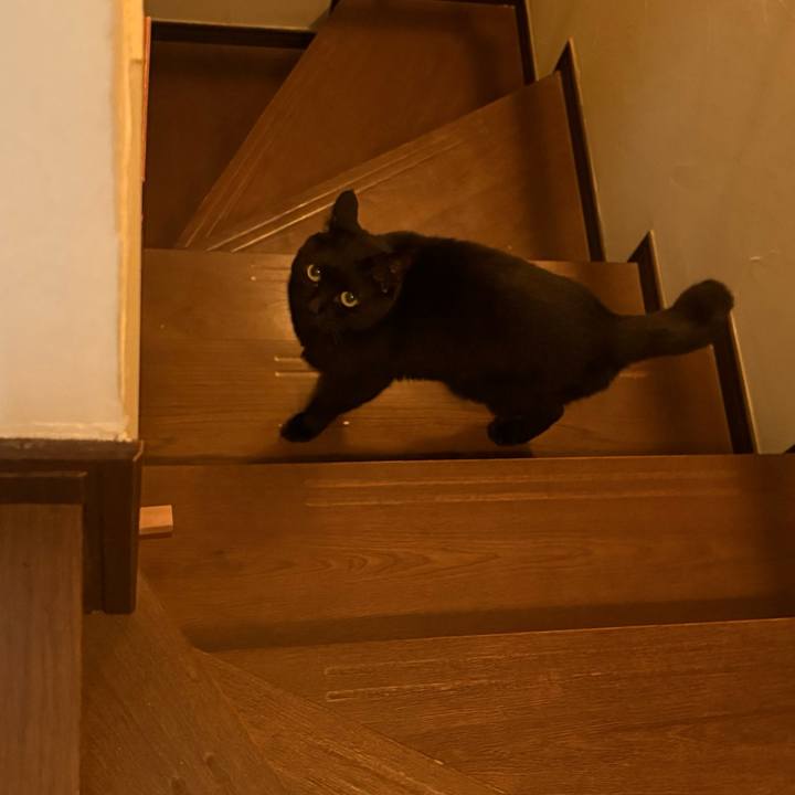 C9fe3286 491f 4aba 8218 2b3679c66a5e 1762067840382