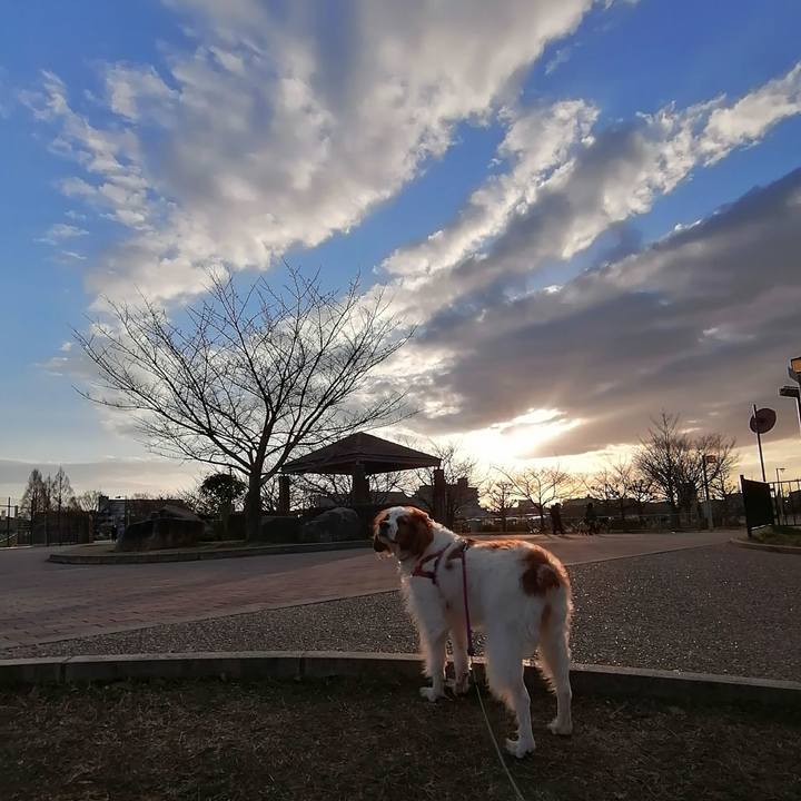 C9fe75d4 f417 484b b1c1 b92477b6001a 1611735496905