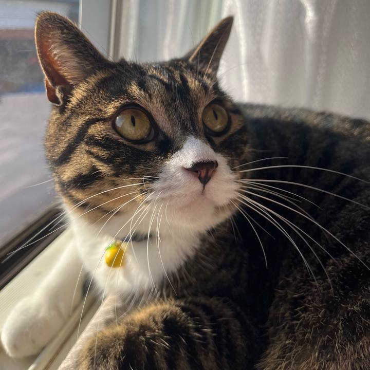 C9fe9ba3 1f0c 417e 86bf 94bf8ac89c4c 1758934453623