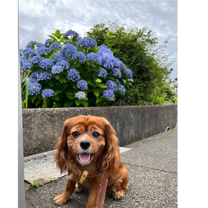 C9fea9a4 5f7a 4e24 83b5 7fe3686e3ae1 1656199715697