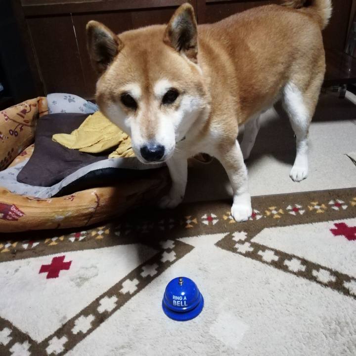 C9feb1e7 d1cf 4f5b bd8a 52d433d73f78 1582359574602