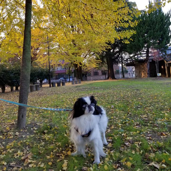 C9feb67f d85a 4fd0 aed1 333317dd83b4 1542449925448