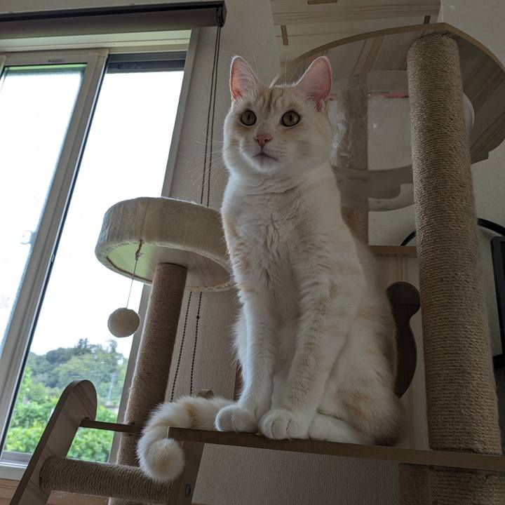 C9fee919 e91f 449e abb0 3416f71d81b6 1695691473852