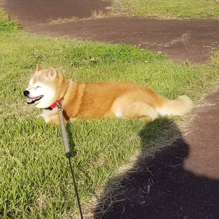 C9ff0e11 9f85 450b b26a da79689ca4dd 1718006683079