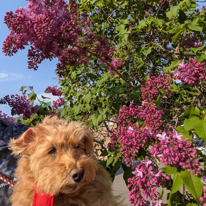 C9ff1415 ad5d 4258 928b 216b4f1d2d5f 1747343239744