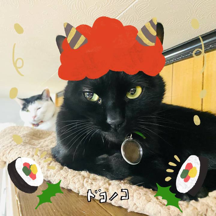 C9ff1ffe e66a 4fe6 8bde 3d2900a61f00 1706796390187