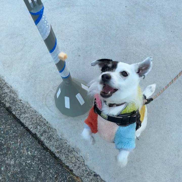 C9ff26eb 6a60 46ed 866b 855dbfca9643 1771028084351