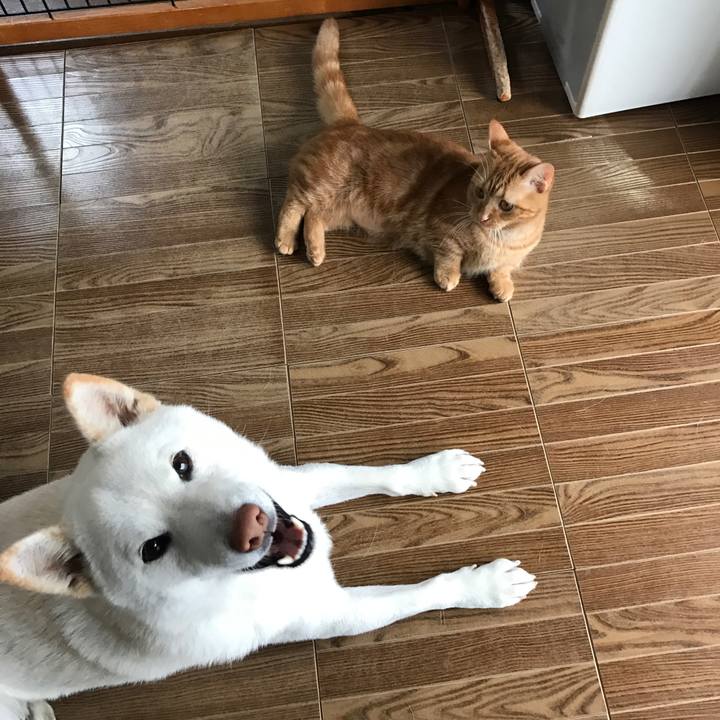 C9ffa7ad c528 4c31 94be 816507b8435f 1513903627144