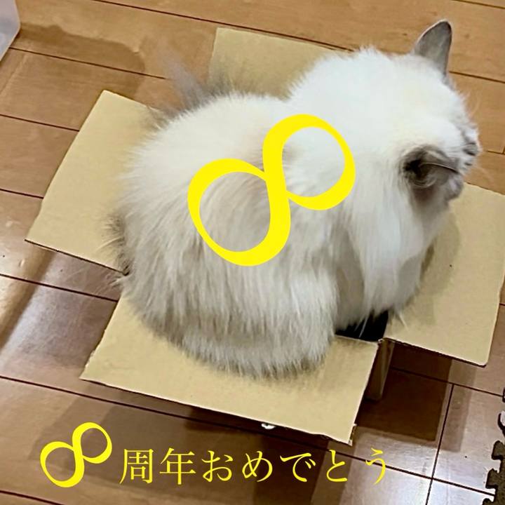 C9ffac9b 0b80 4e80 9e5a 936c2765cb80 1717573007723