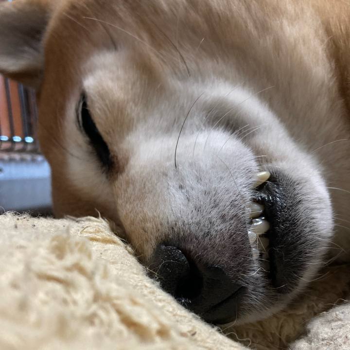 C9ffc9c5 4f40 4098 8ba8 93dd972596a5 1640416389516