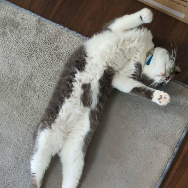 Ca0013df 1e4d 4082 9654 c6027e95ffe6 1768270033732